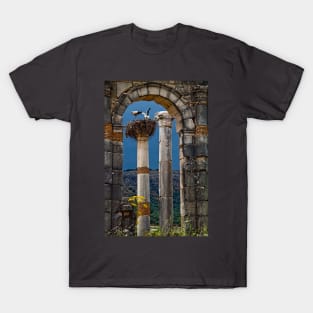 Morocco. Volubilis. Storks in the nest. T-Shirt